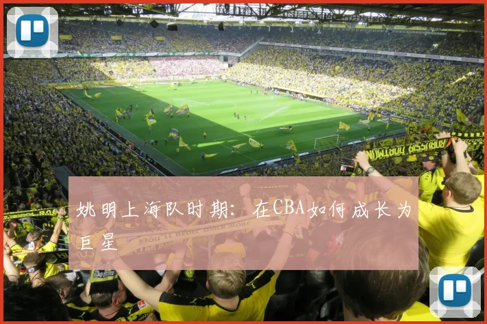姚明上海队时期：在CBA如何成长为巨星